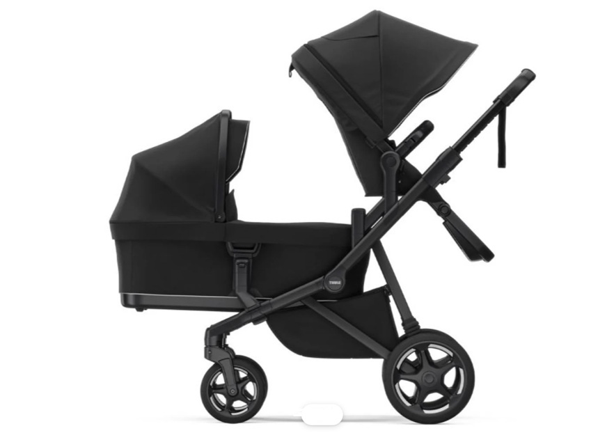 Thule sleek duo